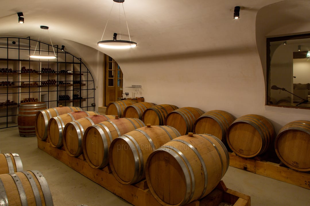6 - Bergerie des Vignes: Villa: Interior