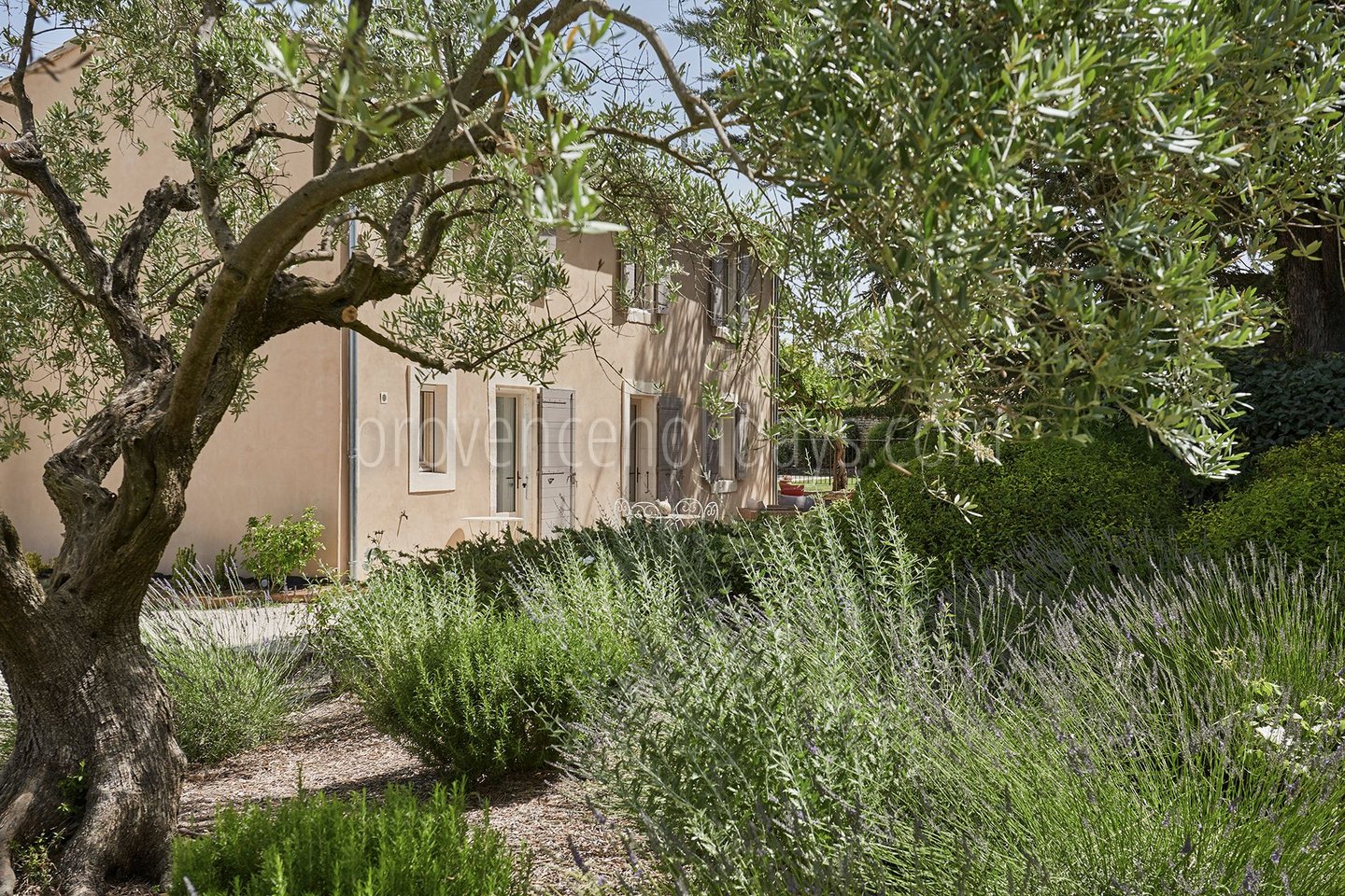 10 - L’Orée des Lavandes: Villa: Exterior