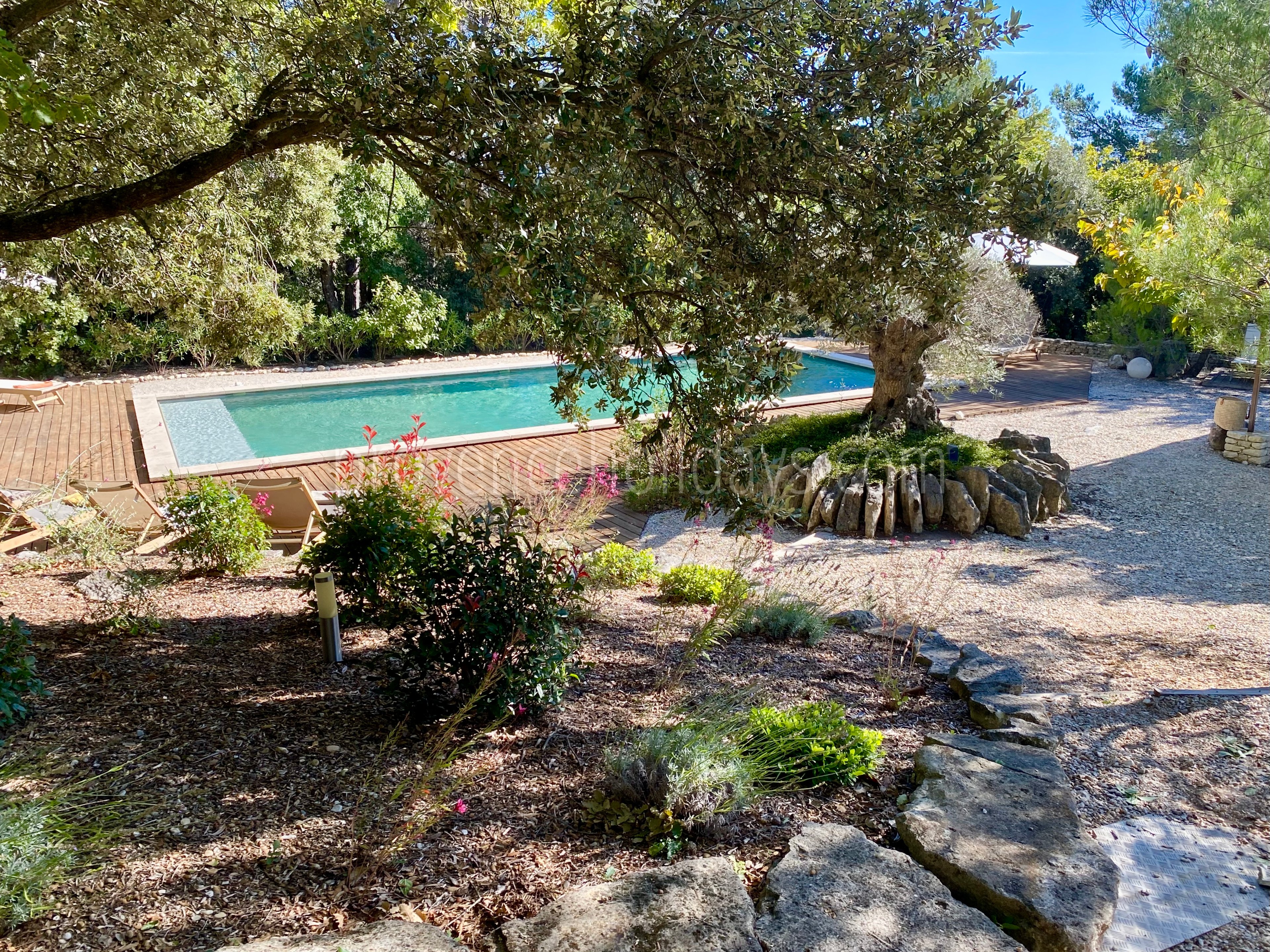 72 - Mas des Collines du Luberon: Villa: Pool
