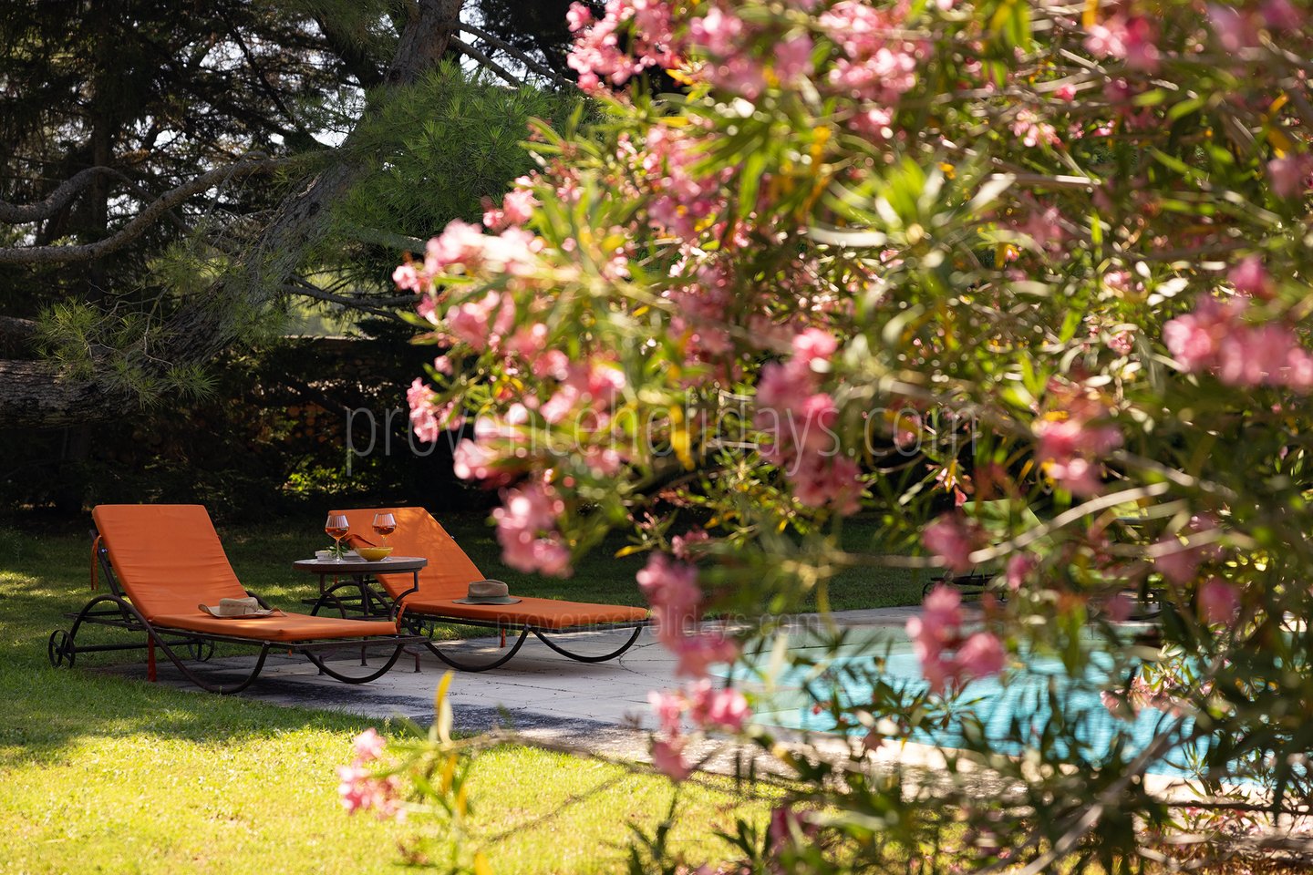 28 - Pine Lodge: Villa: Exterior