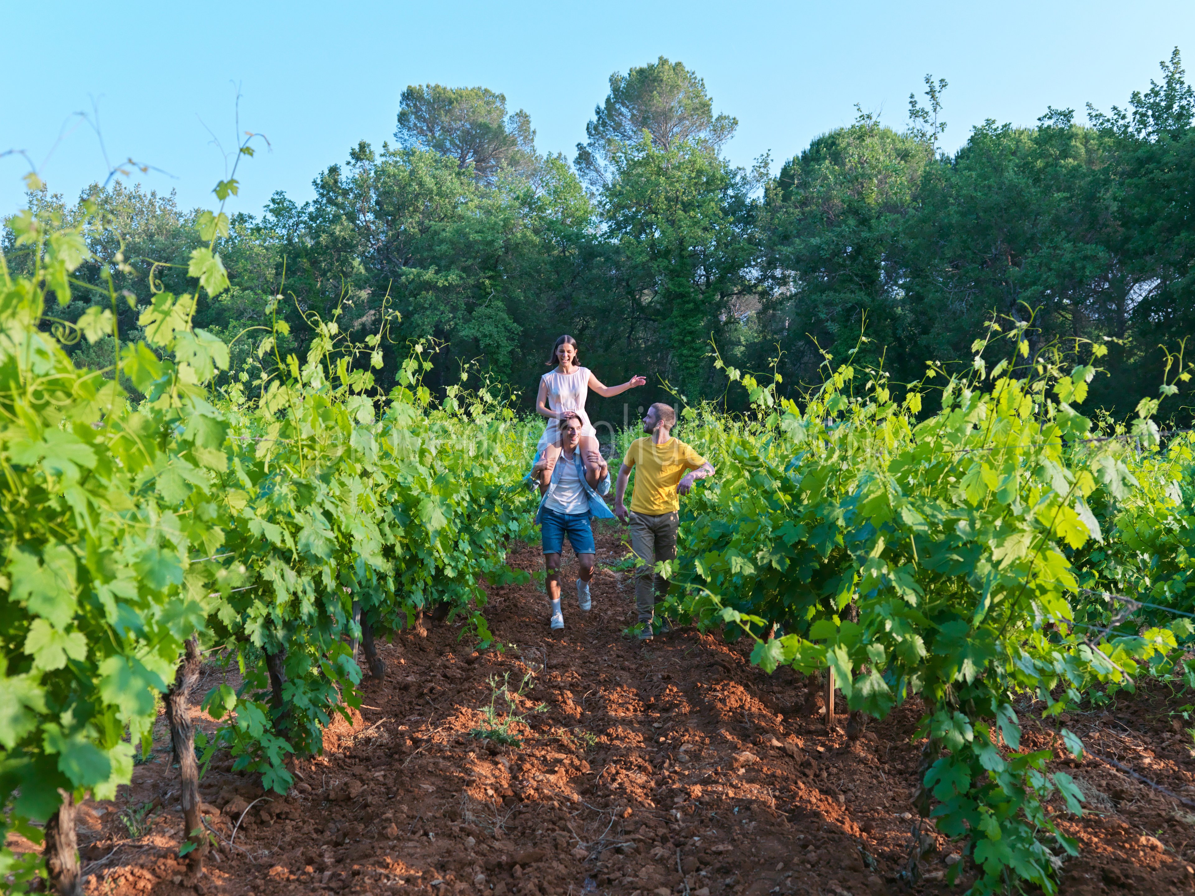 38 - Bergerie des Vignes: Villa: Exterior