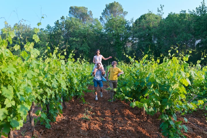 38 - Bergerie des Vignes: Villa: Exterior