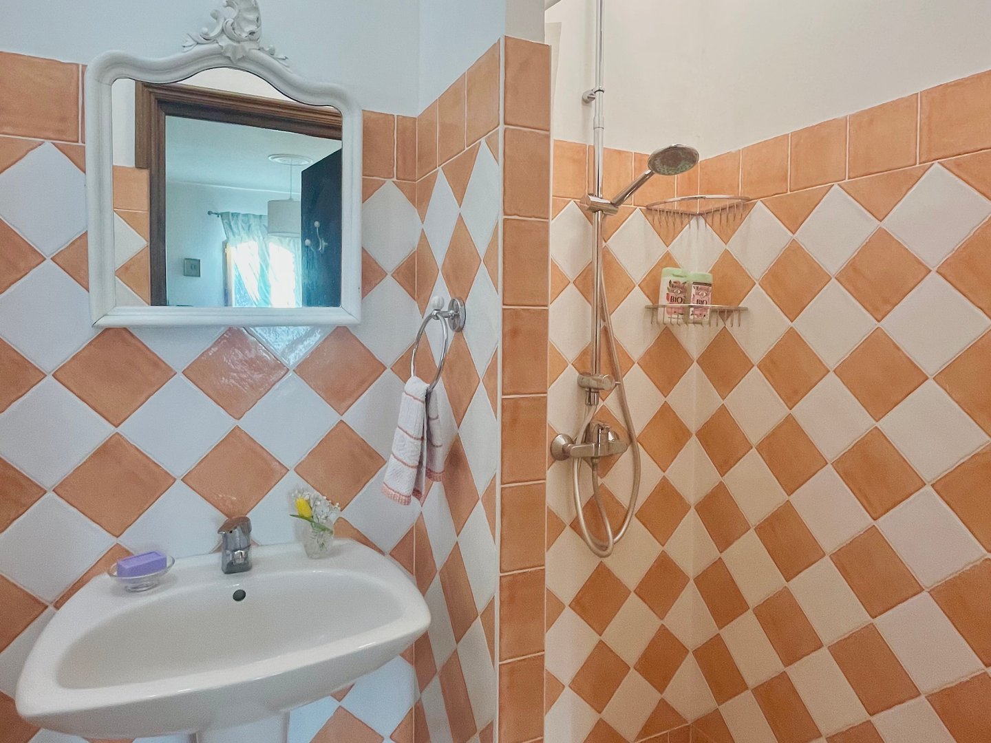 37 - Une maison dans Ménerbes: Villa: Bathroom