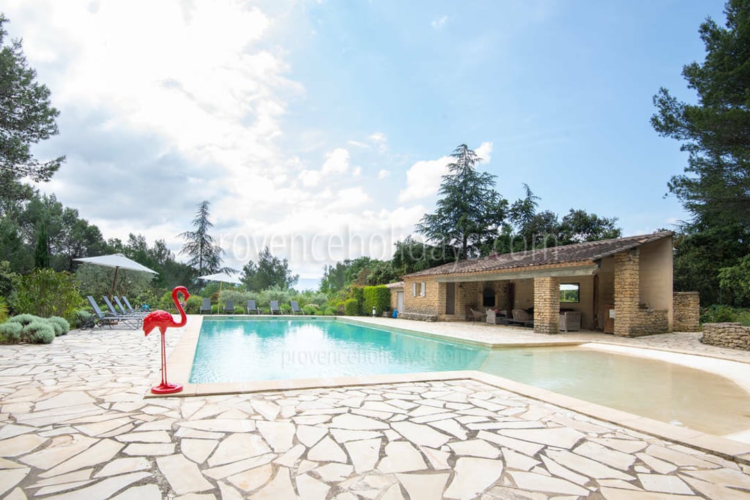 6 - Mas Provence: Villa: Pool