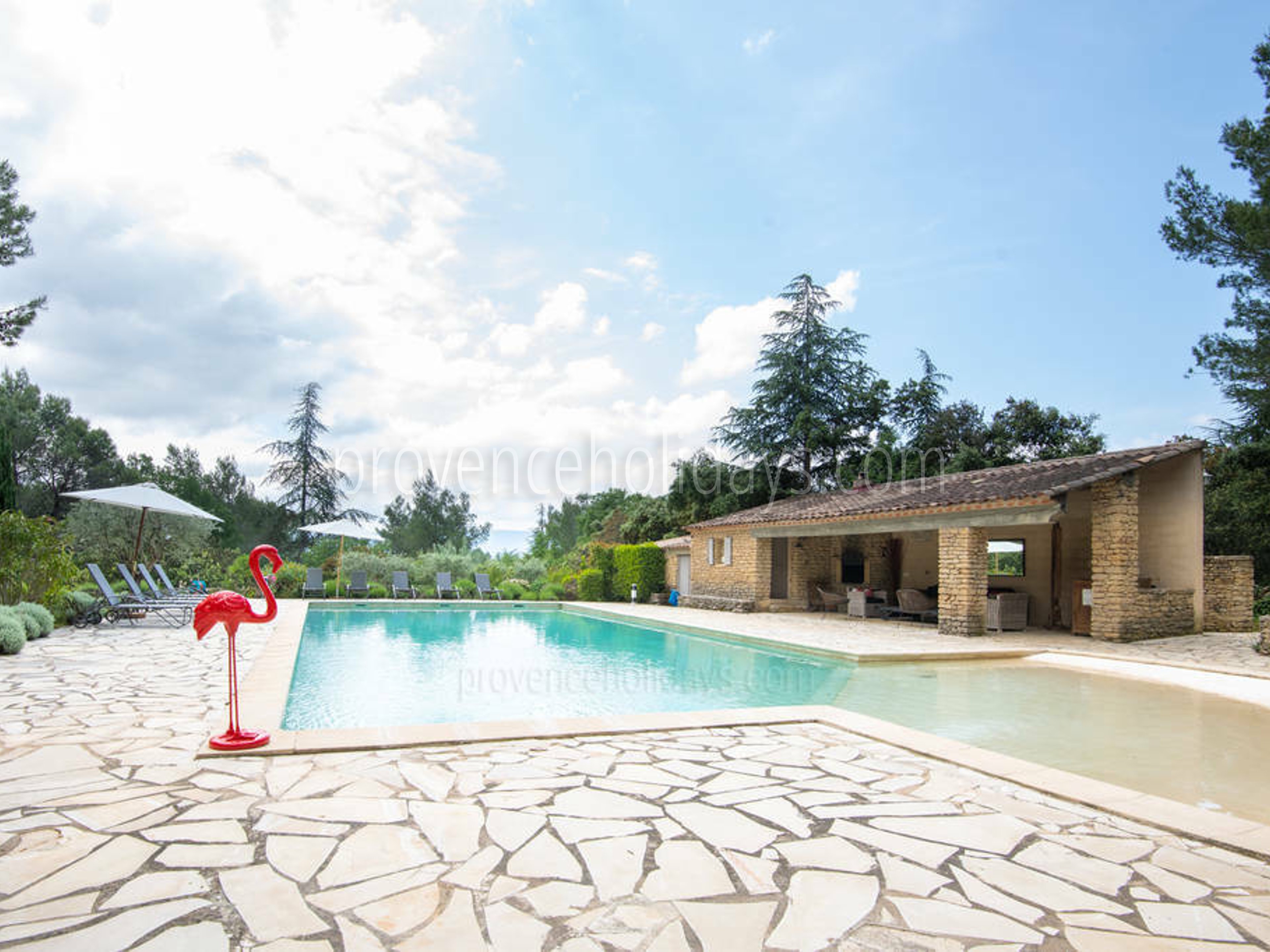 6 - Mas Provence: Villa: Pool