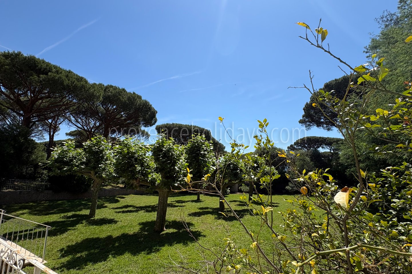 0 - Le Mas des Lys: Villa: Exterior