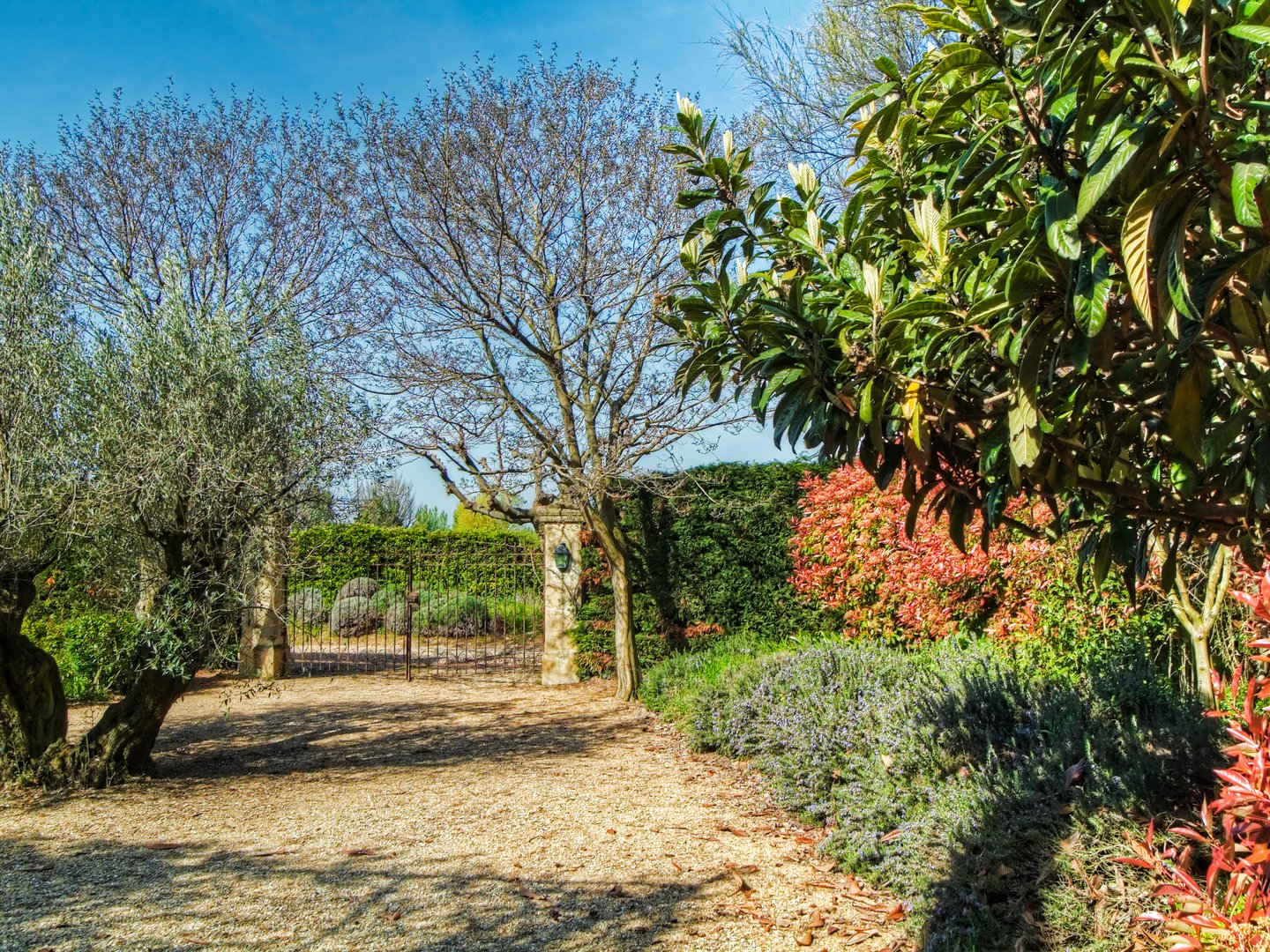 25 - Domaine de Mouriès: Villa: Exterior