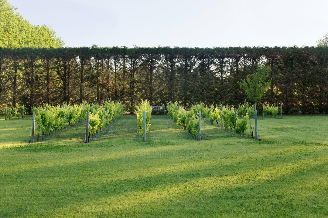 20 - Eden Provençal: Villa: Exterior