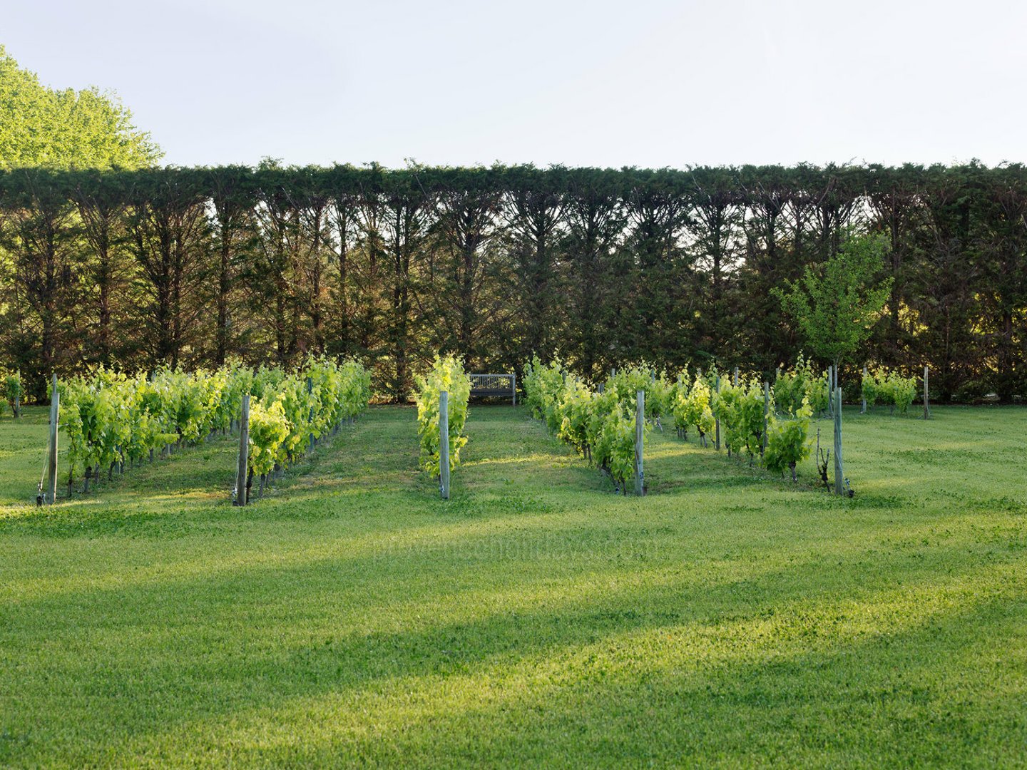 20 - Eden Provençal: Villa: Exterior