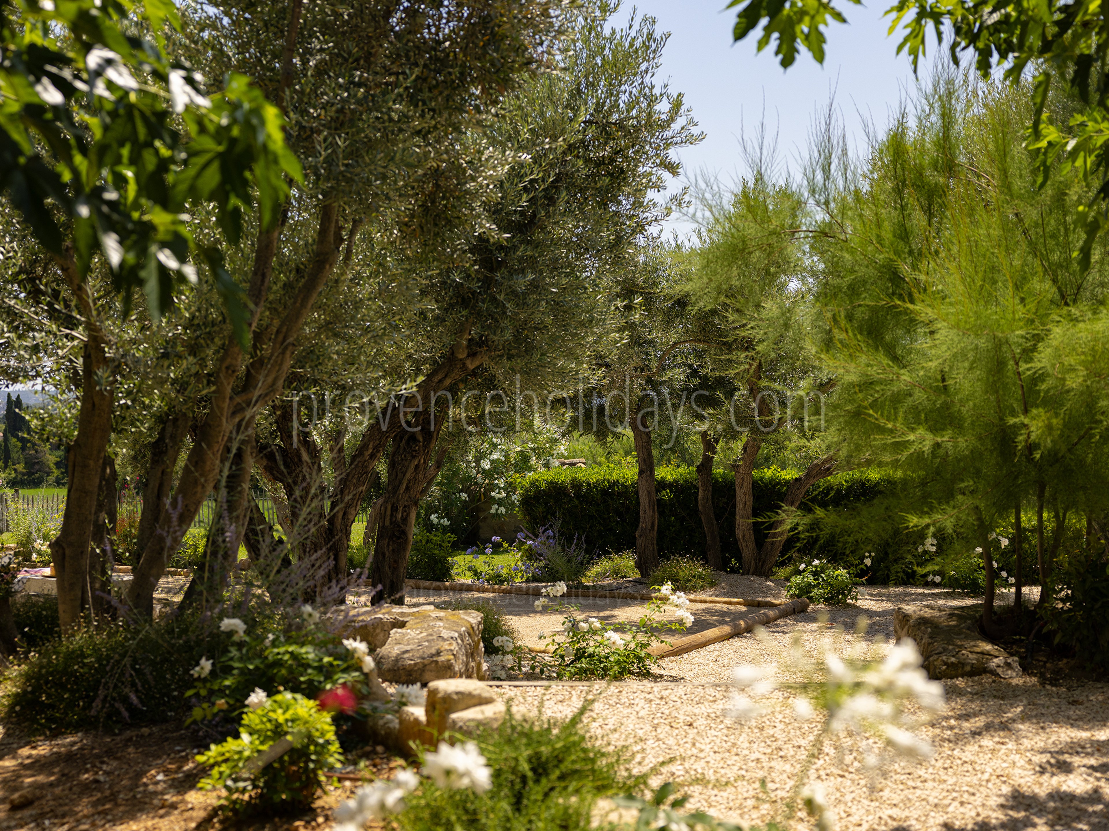 30 - Le Mas des Lauriers: Villa: Exterior