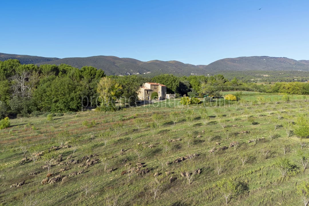 15 - Stone property in Cucuron: Villa: Exterior
