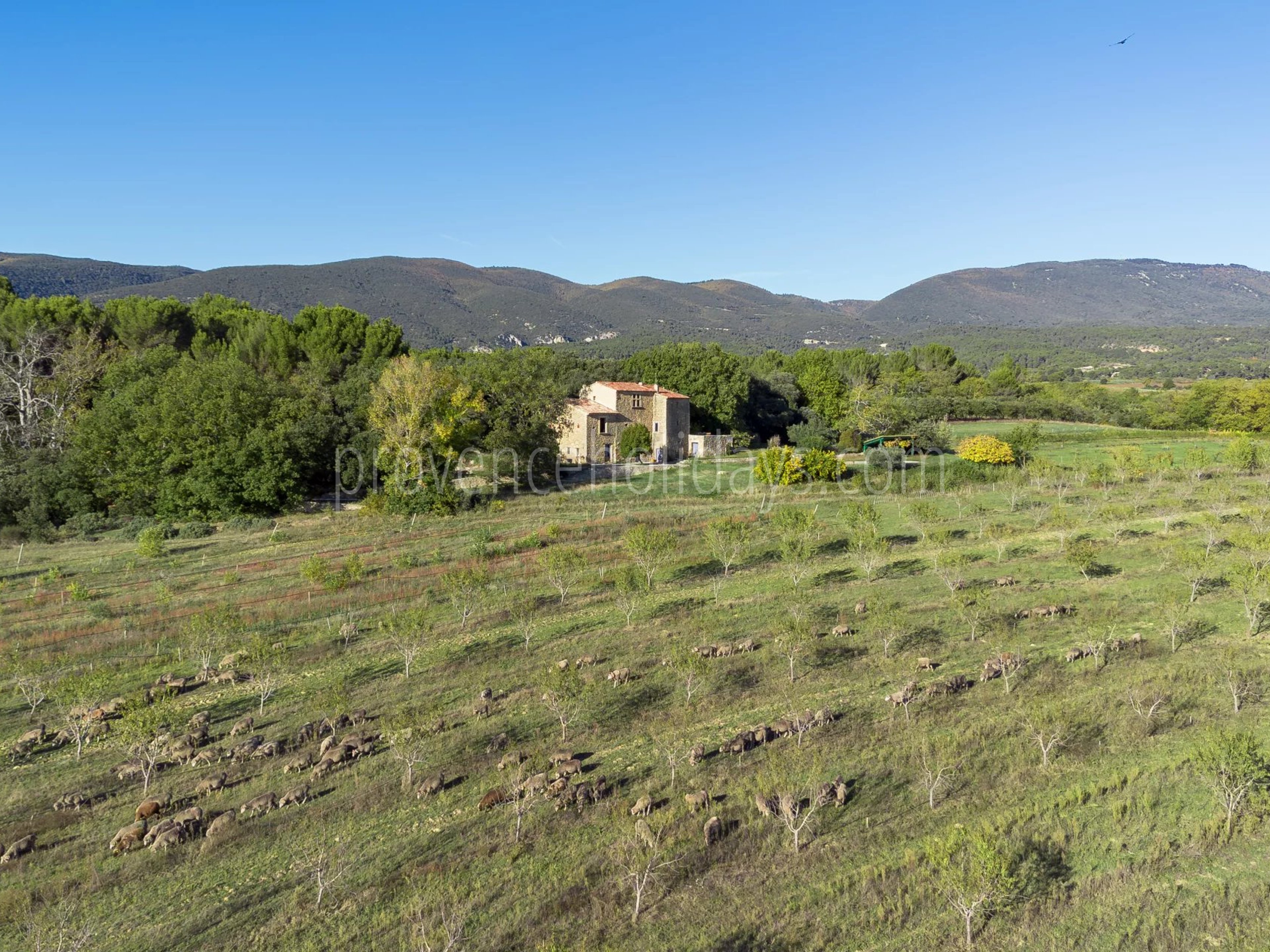 15 - Stone property in Cucuron: Villa: Exterior