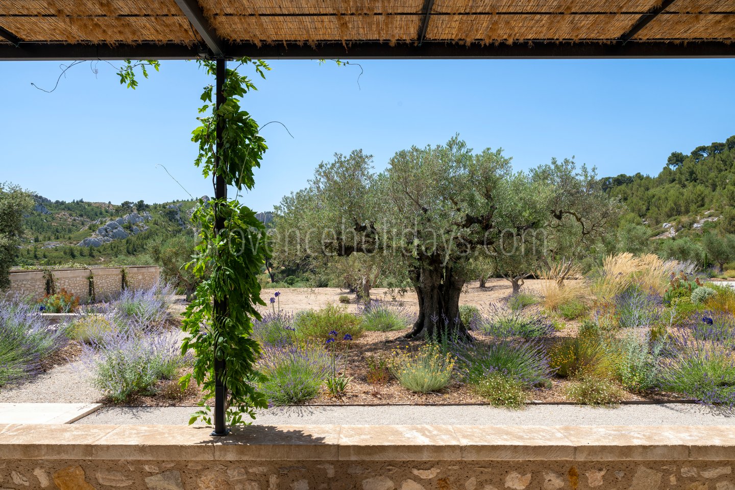 165 - Le Loup des Alpilles: Villa: Exterior