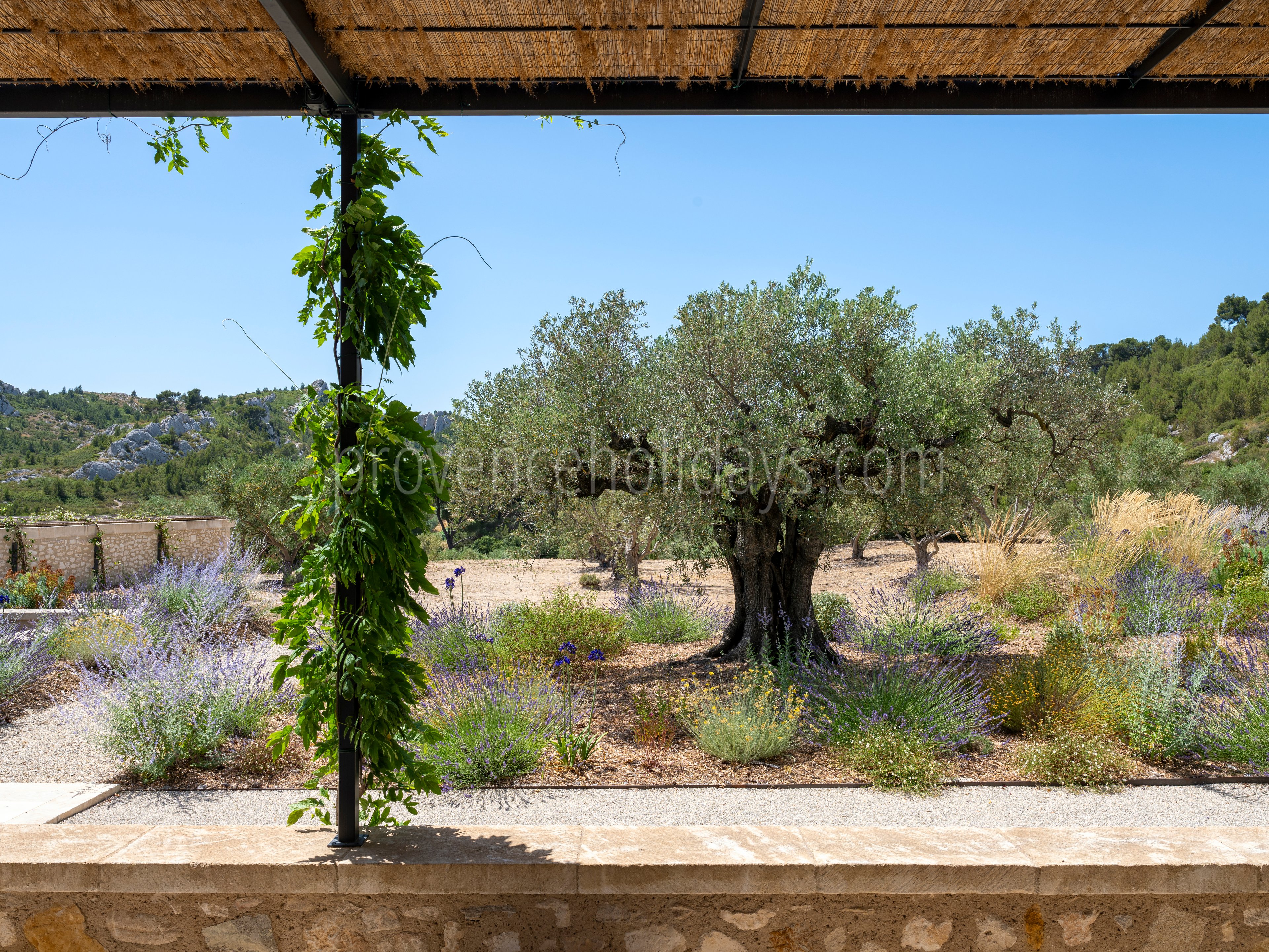 165 - Le Loup des Alpilles: Villa: Exterior
