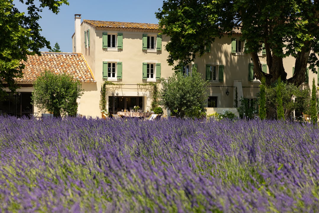 Stunning villa with  lavender field between Luberon and Alpilles