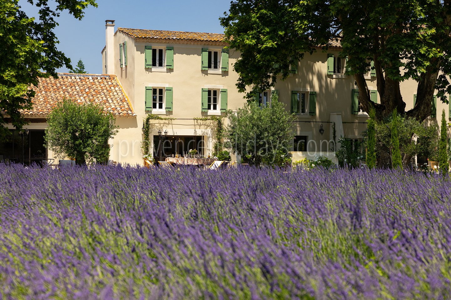 5 - La Bastide Lavande: Villa: Exterior