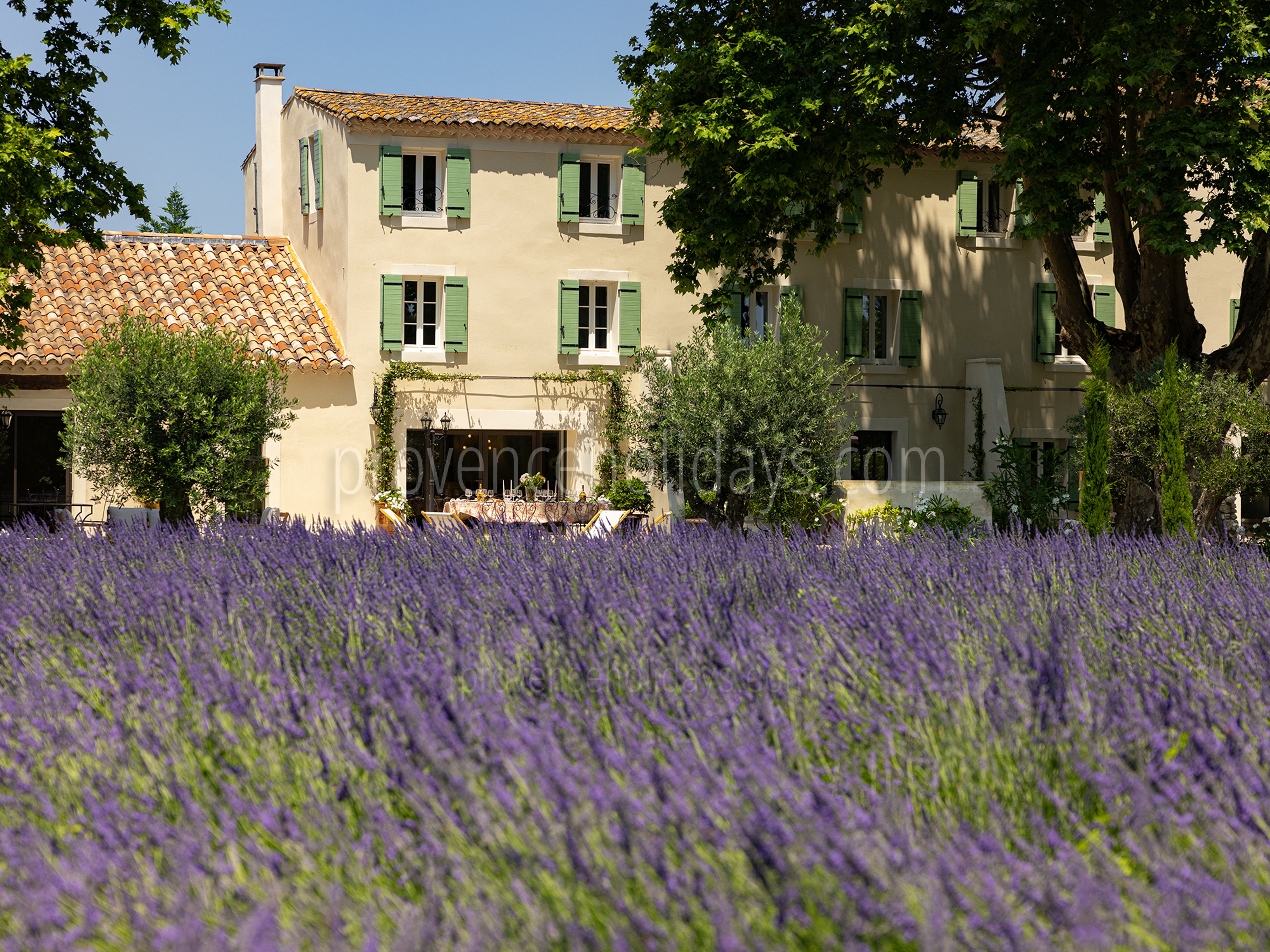 5 - La Bastide Lavande: Villa: Exterior