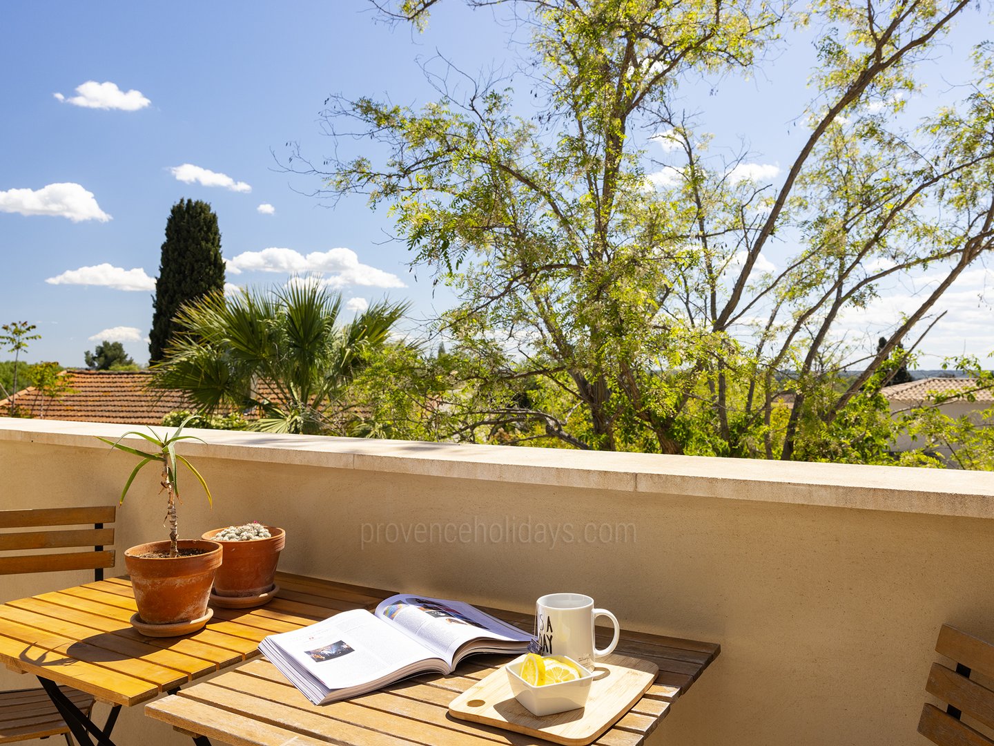 23 - Mas de Flandrin: Villa: Exterior