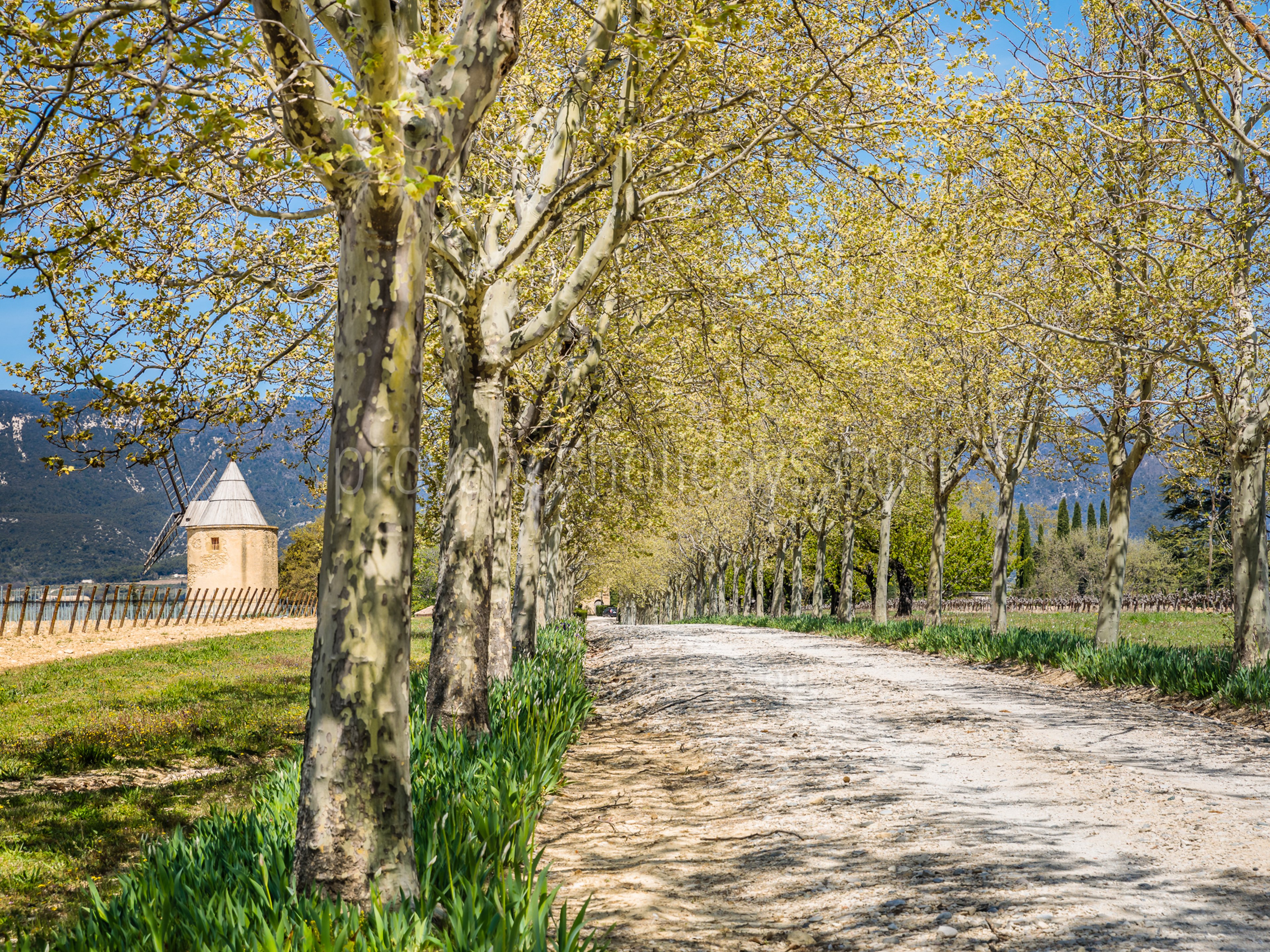 10 - Domaine de Luberon: Villa: Exterior