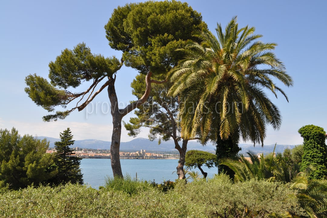 8 - Villa Cap d\'Antibes: Villa: Exterior