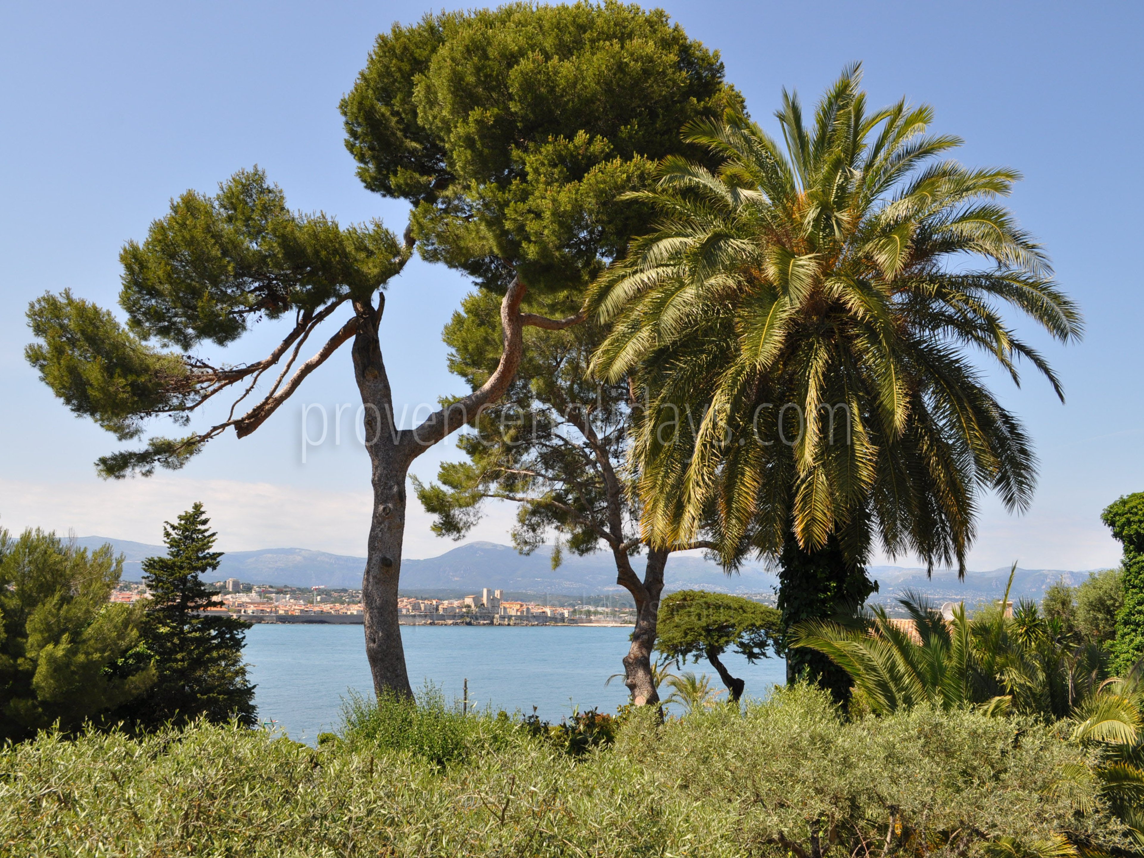 8 - Villa Cap d\'Antibes: Villa: Exterior