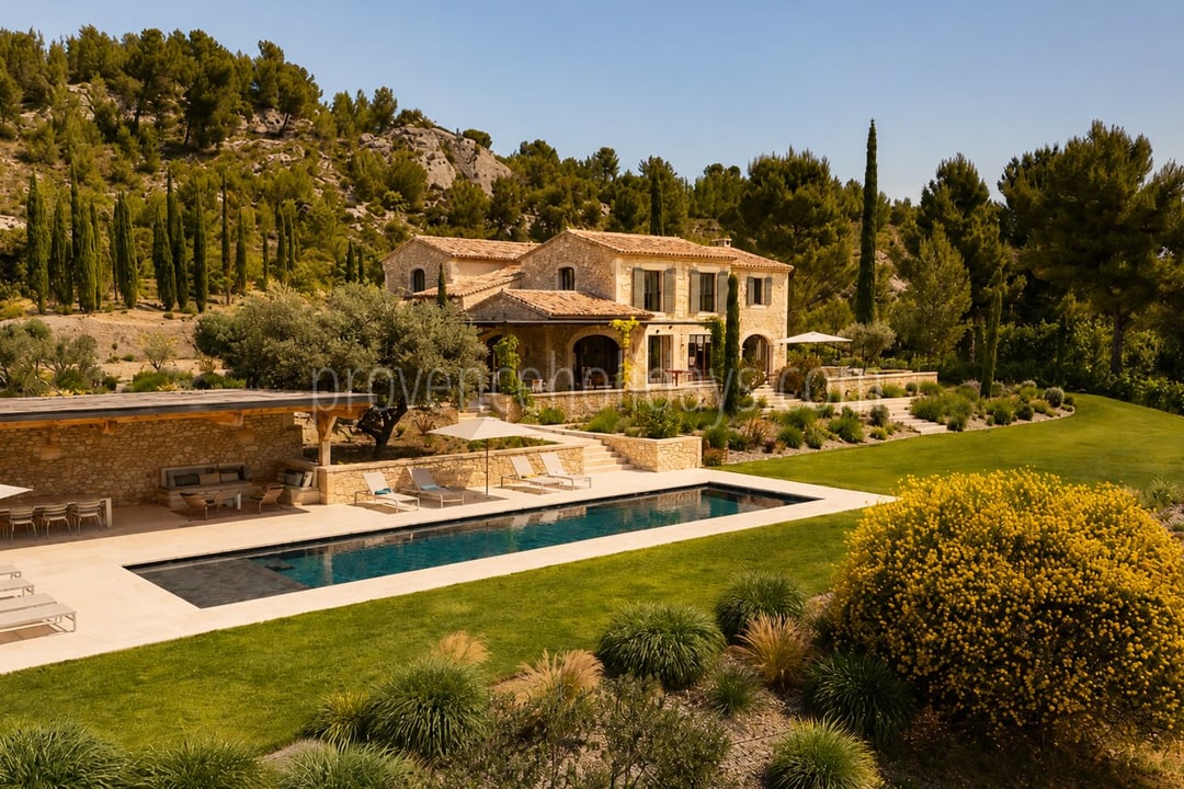-1 - Le Loup des Alpilles: Villa: Exterior