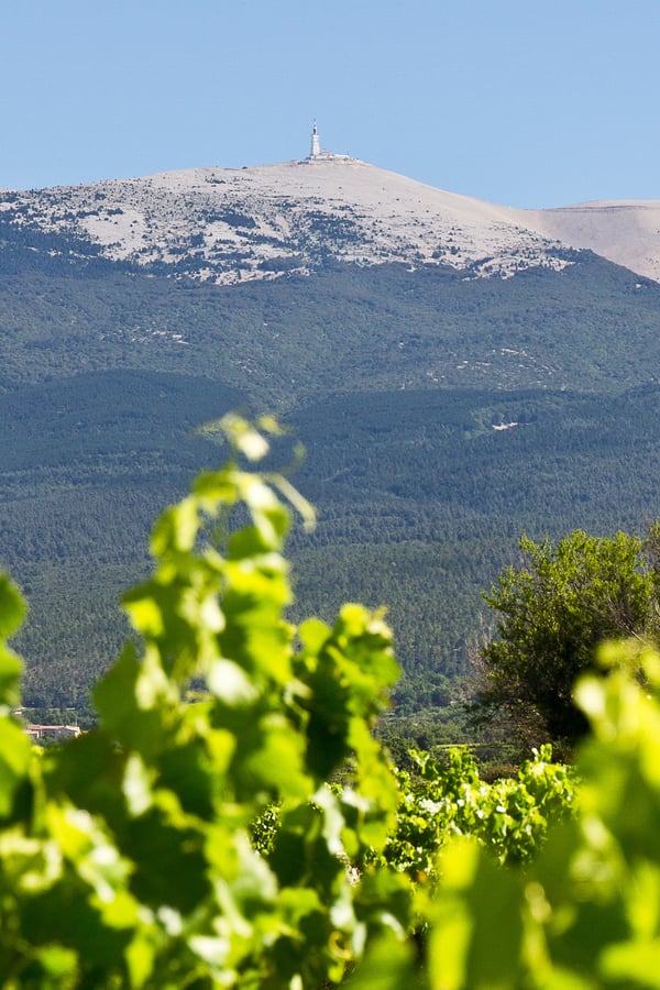 mont ventoux