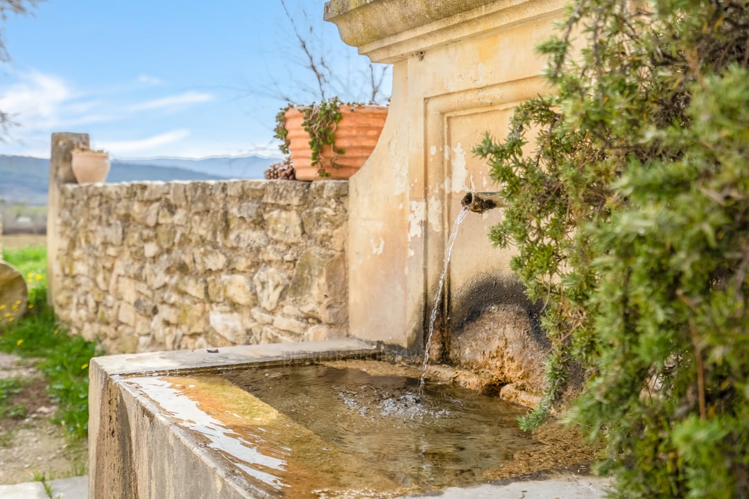 8 - La Petite Bastide des Sources: Villa: Exterior