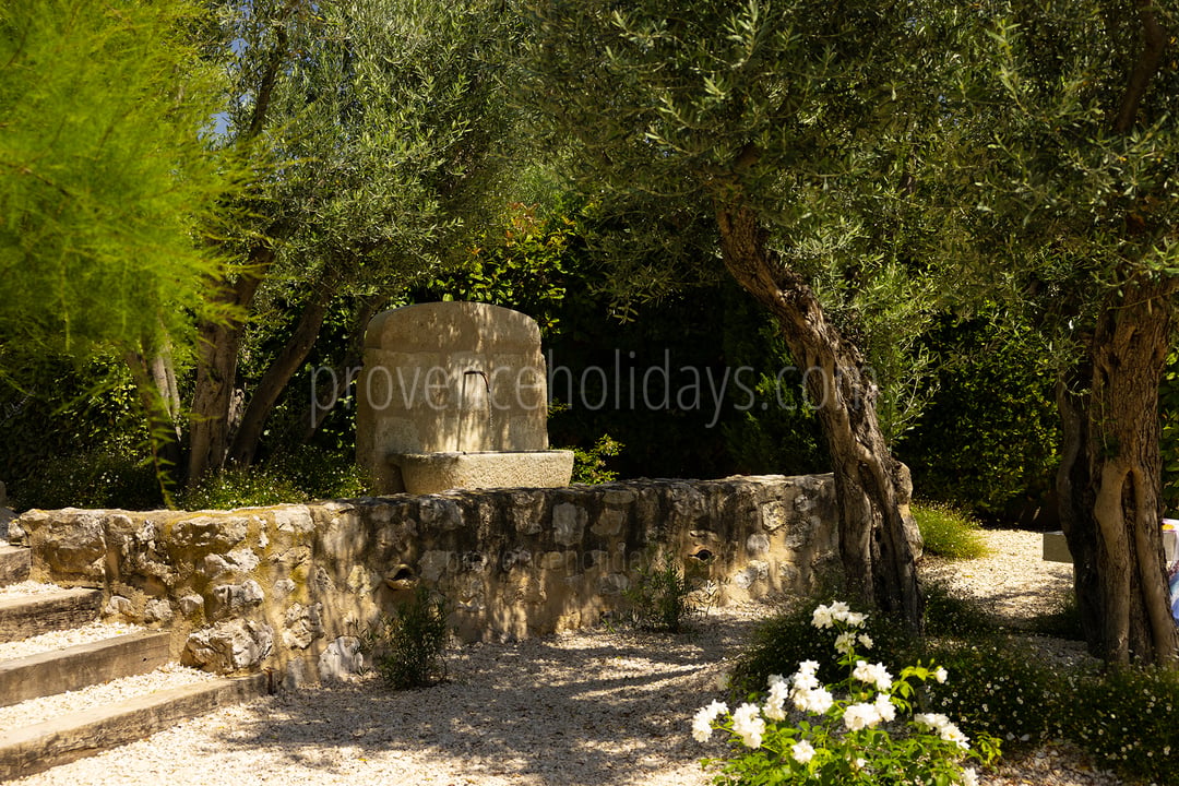 37 - Le Mas des Lauriers: Villa: Exterior