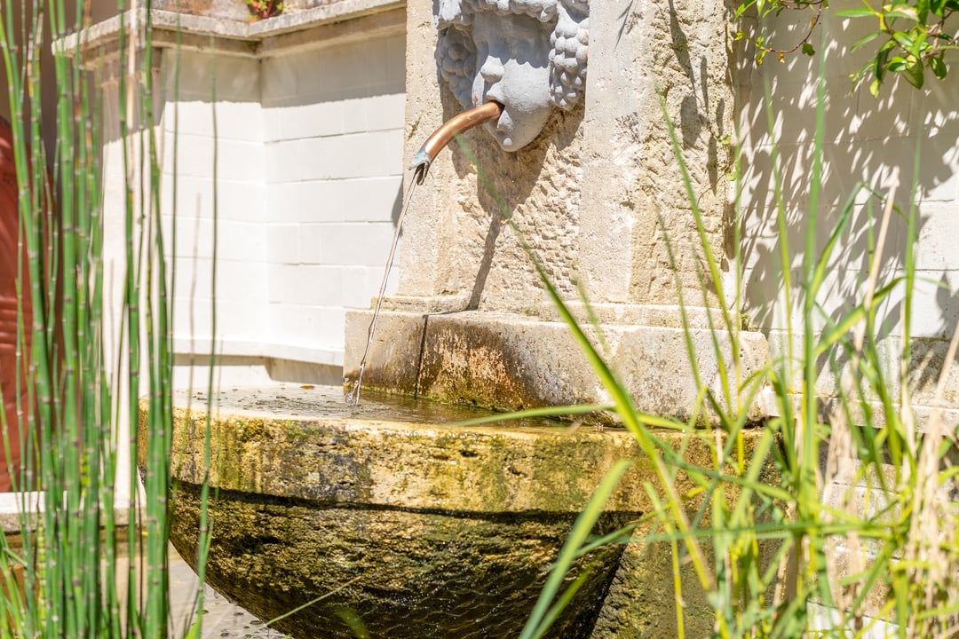 7 - Mas Lou Miradou: Villa: Exterior