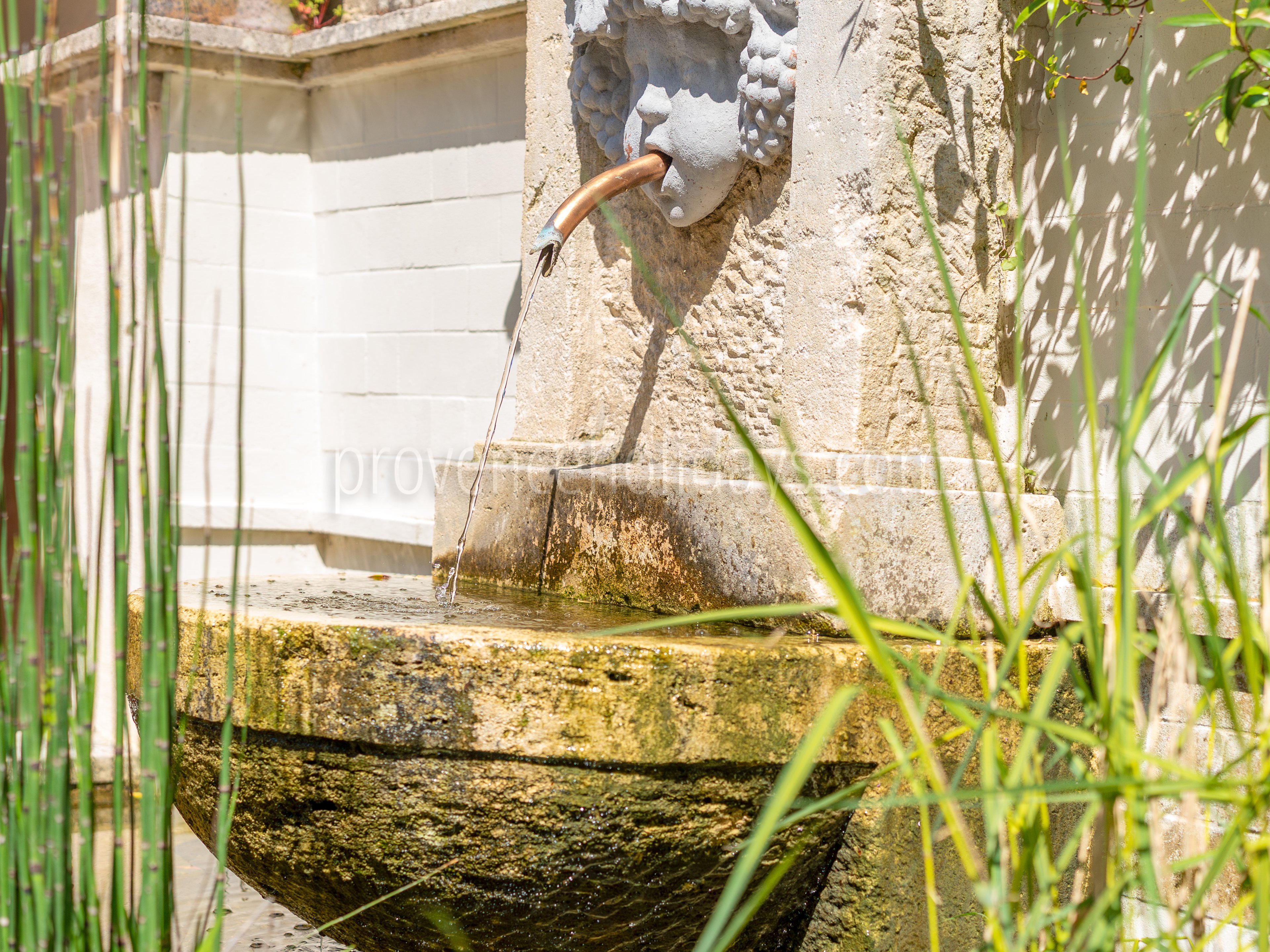 7 - Mas Lou Miradou: Villa: Exterior
