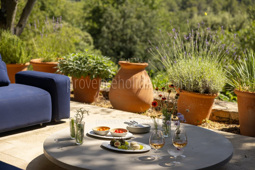 54 - Grand Mas de Provence: Villa: Exterior