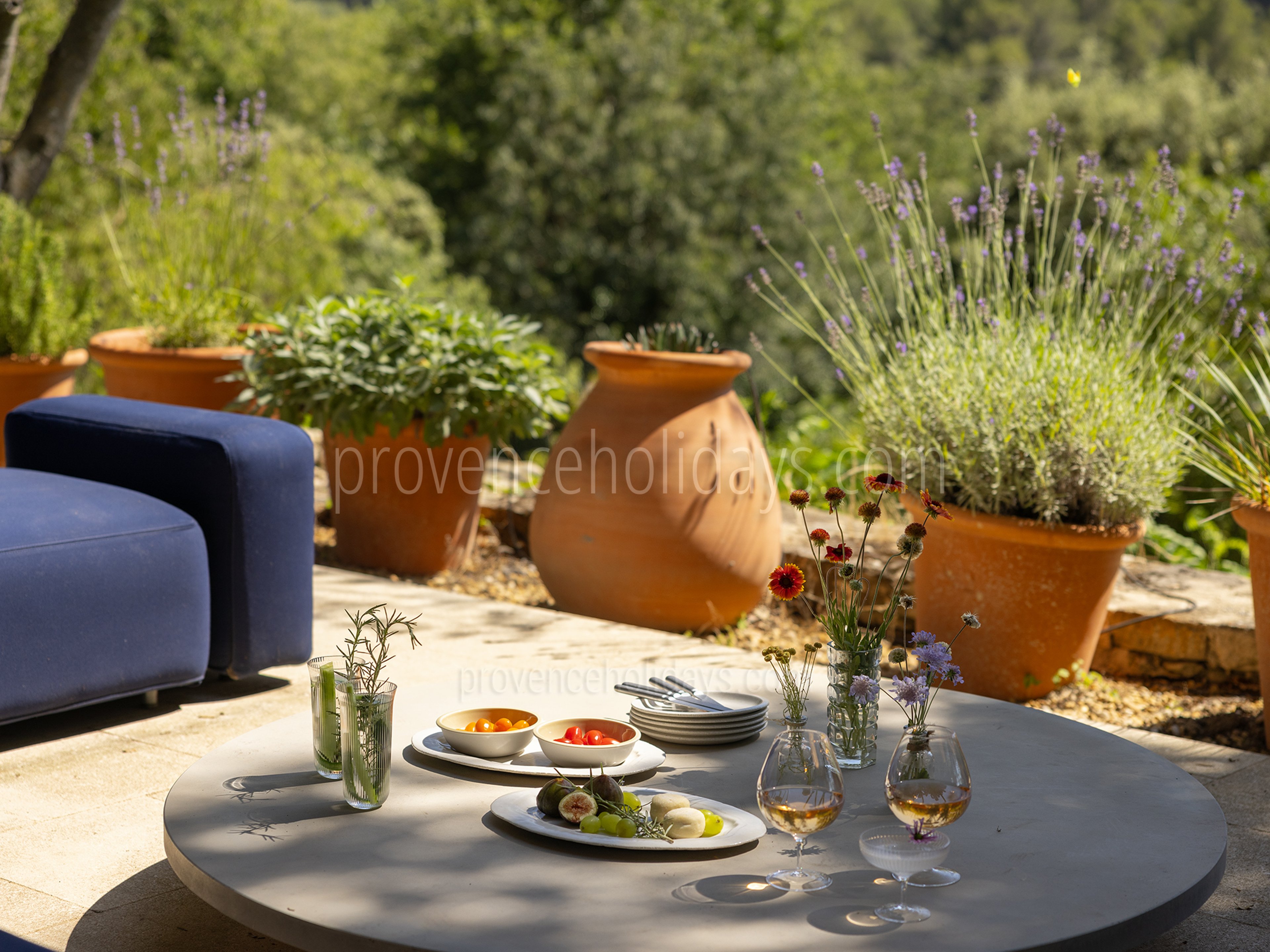 54 - Grand Mas de Provence: Villa: Exterior