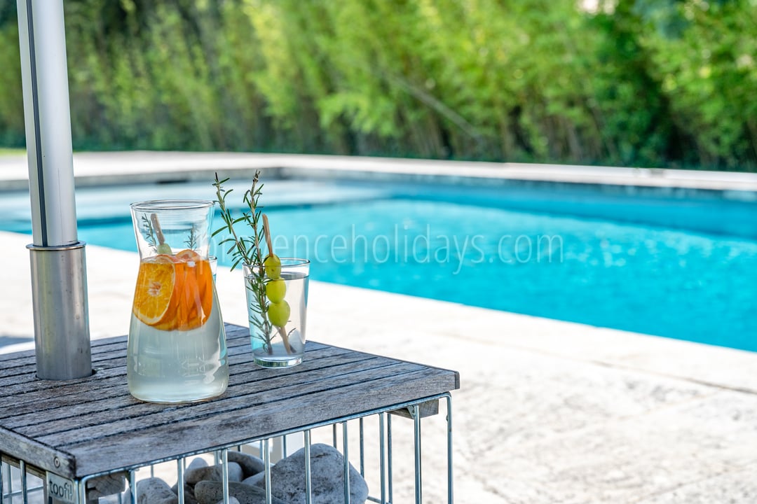 53 - Le Mas aux Gargouilles: Villa: Pool