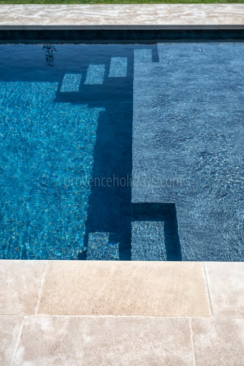 184 - Le Loup des Alpilles: Villa: Pool