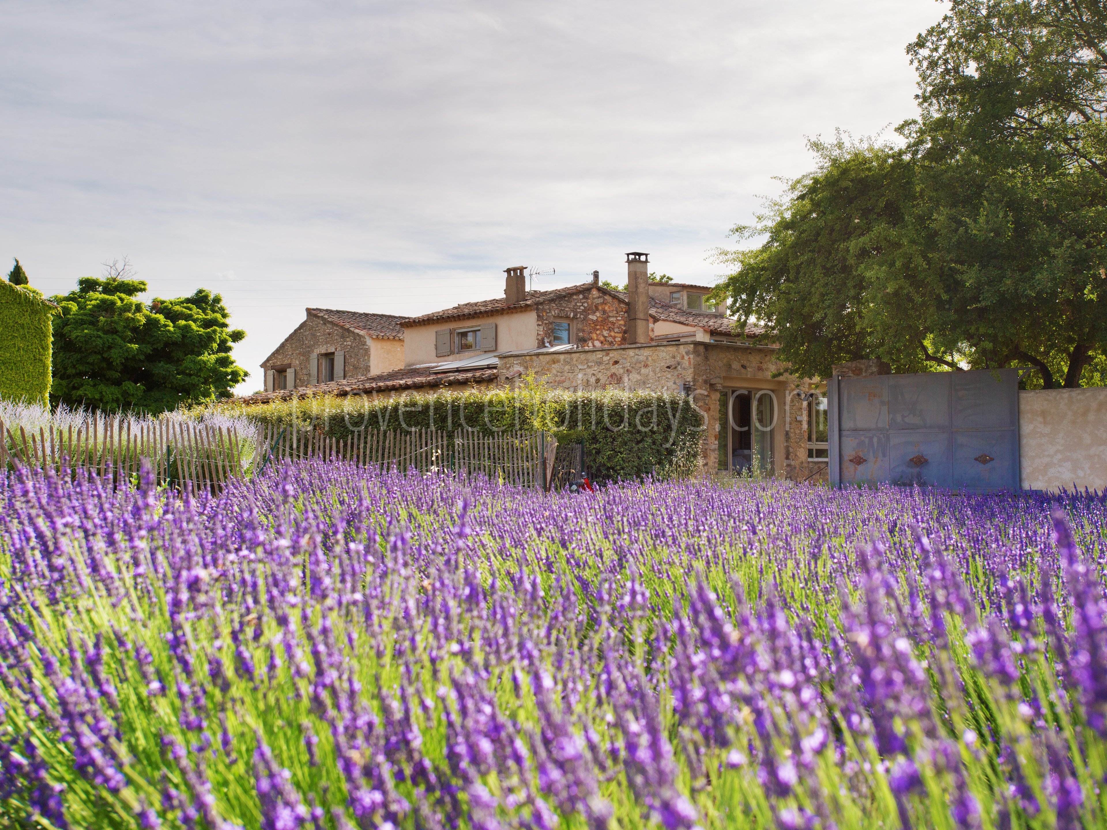 -4 - Le Hameau de Goult: Villa: Exterior