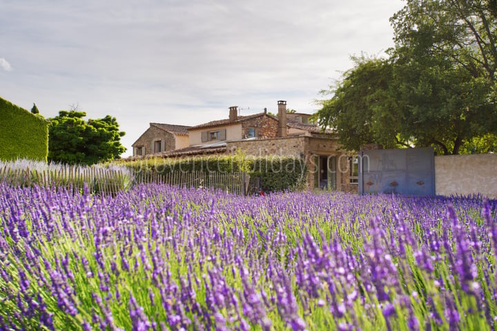 Private estate with main house and three gîtes in the heart of nature
