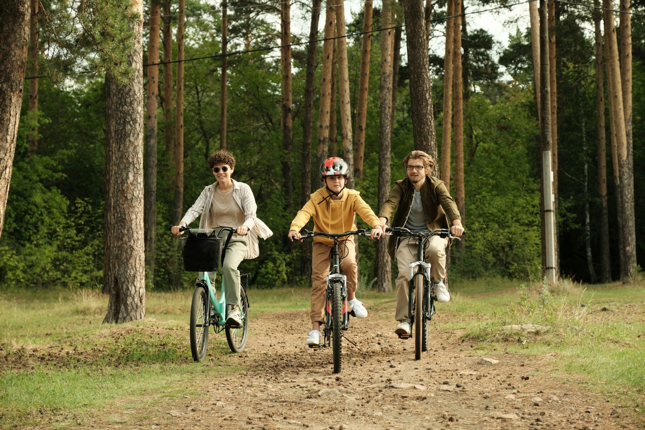 cycling in forest