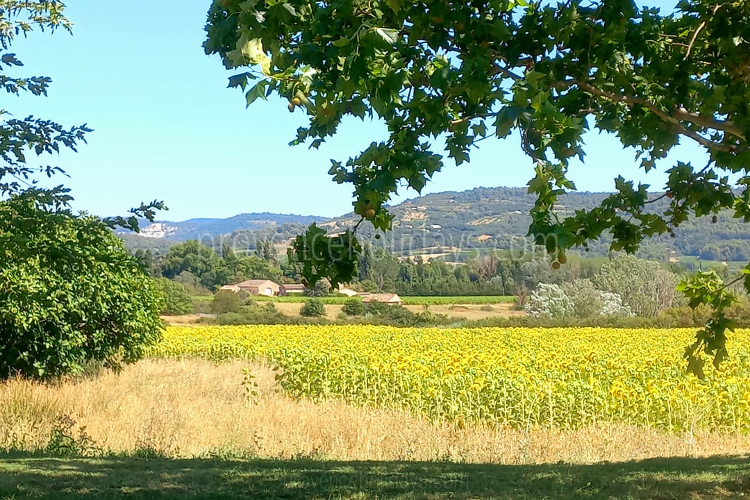 18 - La Bastide des Sources: Villa: Exterior