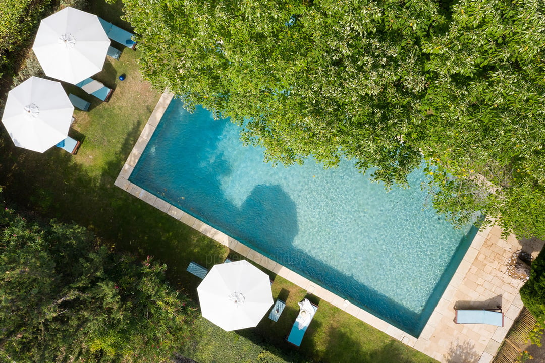 Location de vacances acceptant les animaux avec piscine privée à Pignans