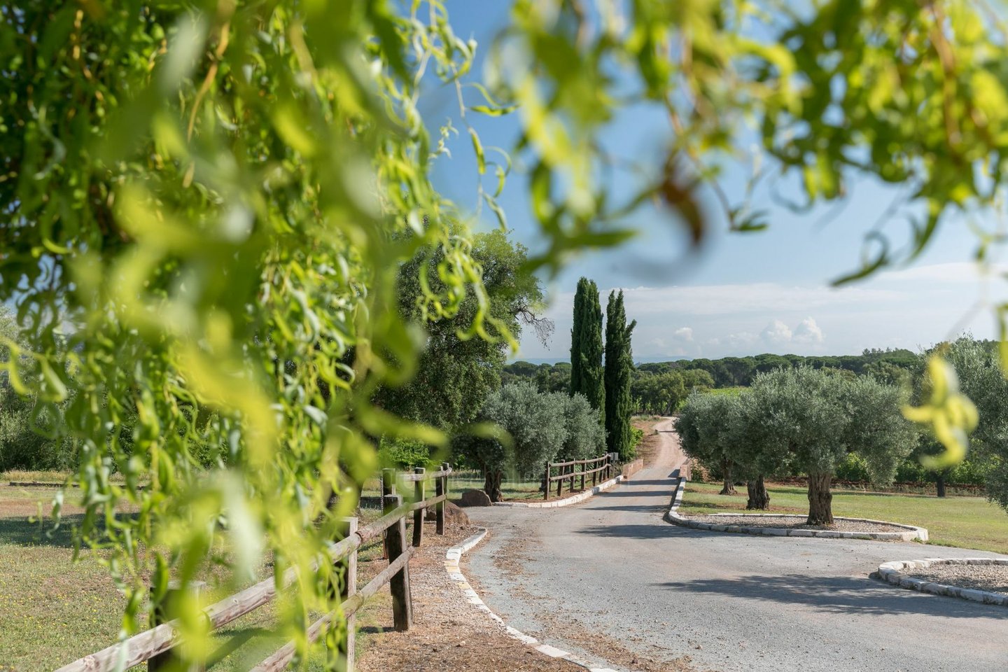 17 - Bastide de Vidauban: Villa: Exterior