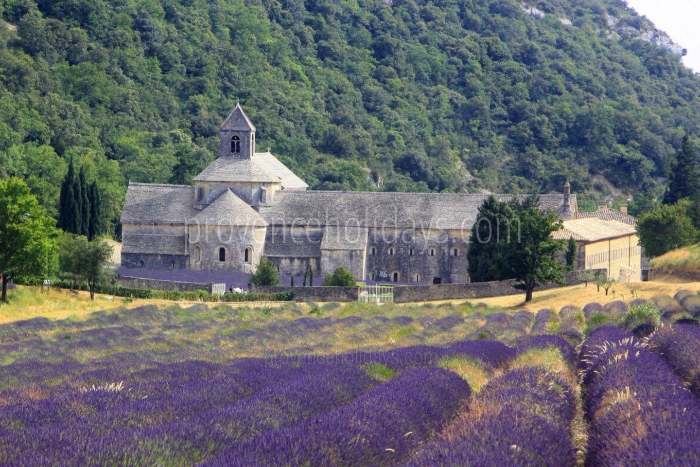 43 - La Maison du Chemin: Villa: Exterior