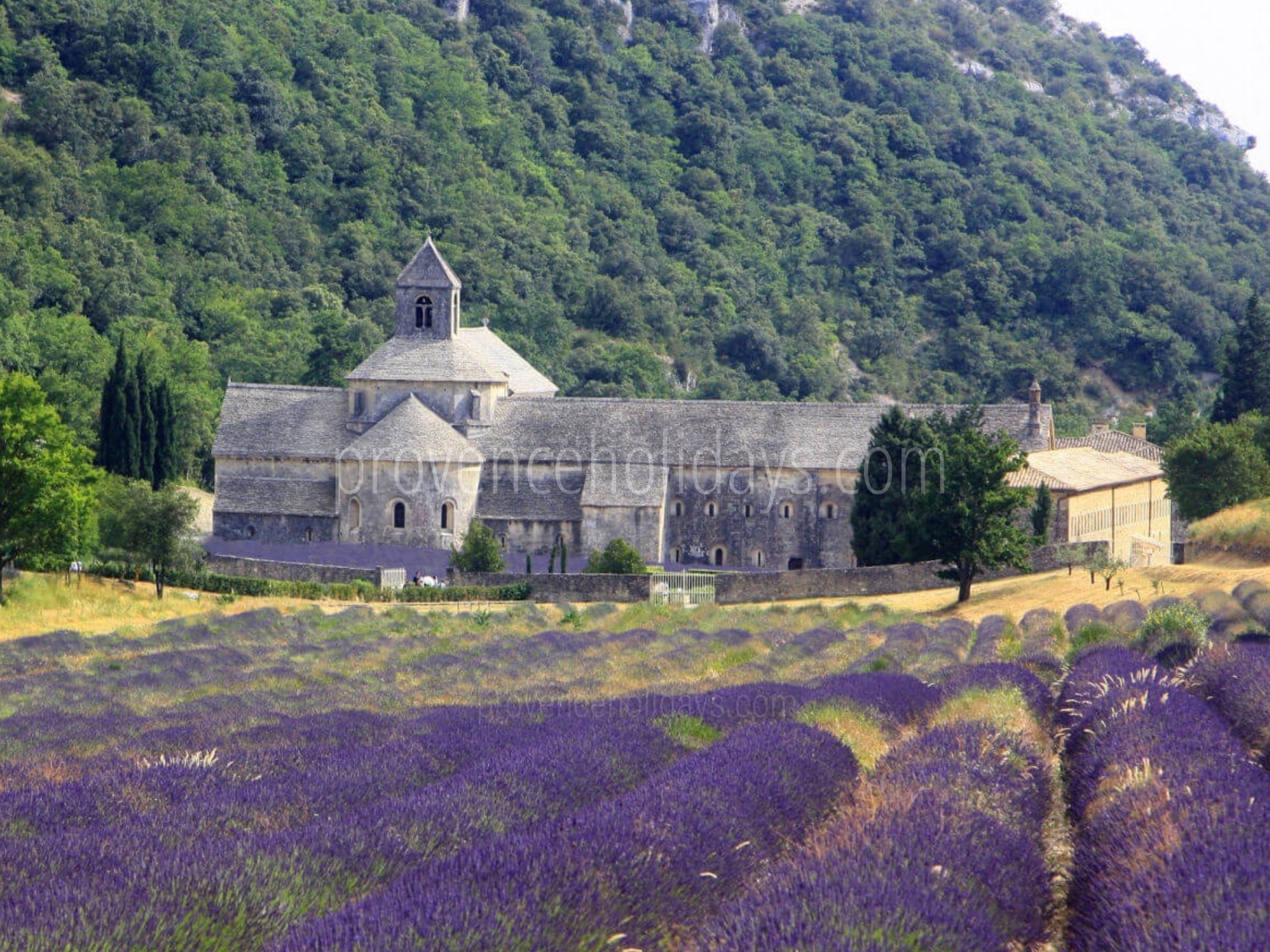 43 - La Maison du Chemin: Villa: Exterior