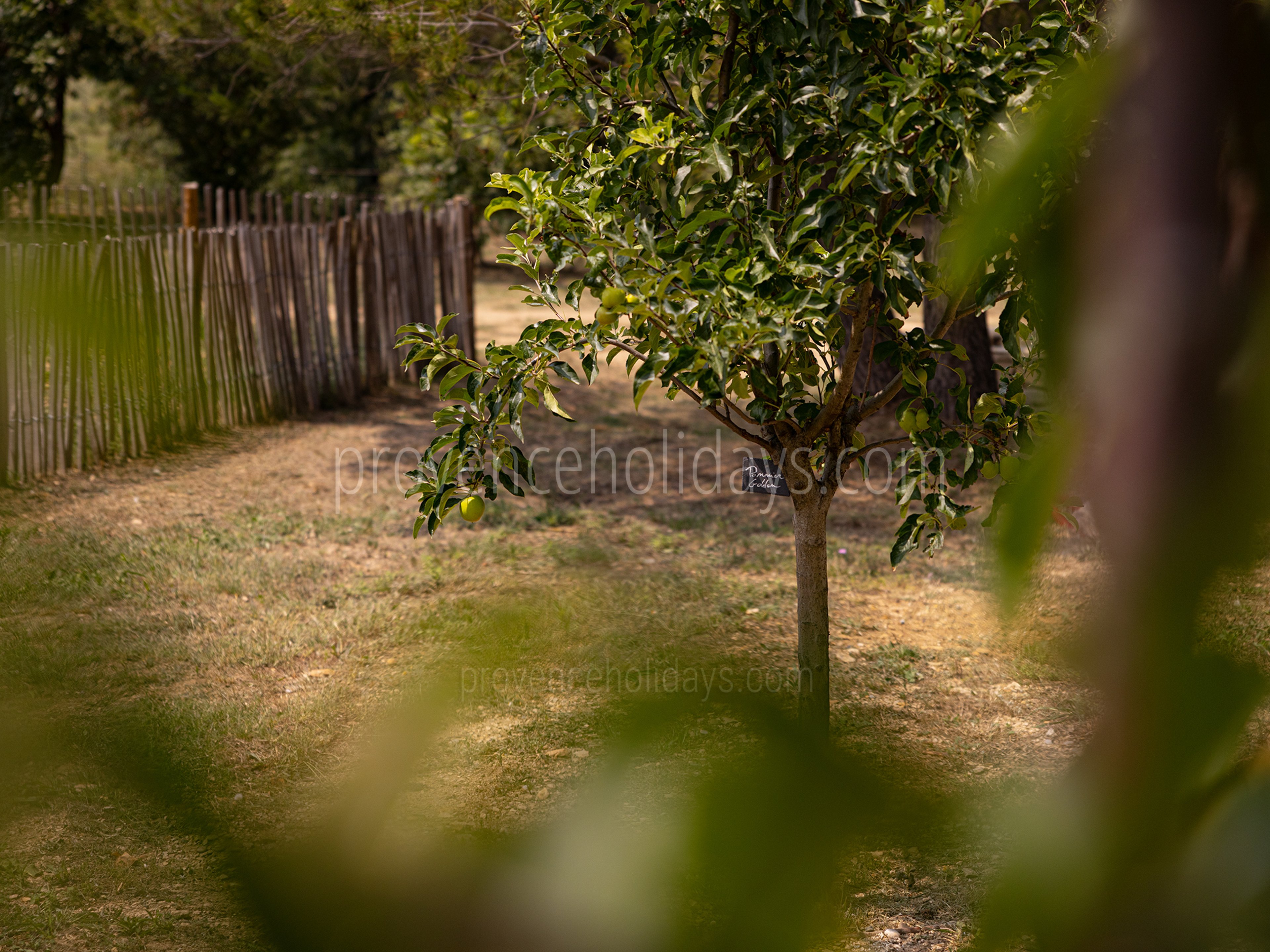 38 - Le Mas Secret: Villa: Exterior