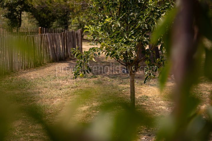 38 - Le Mas Secret: Villa: Exterior
