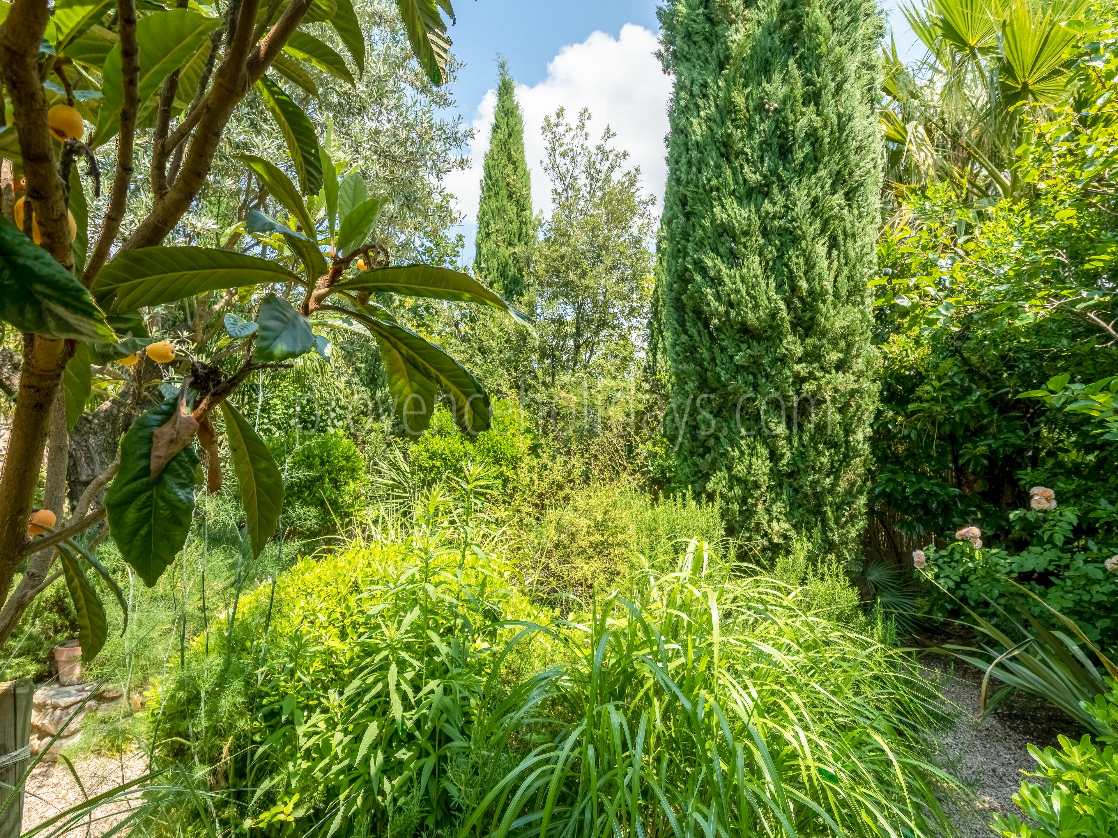 28 - Mas du Peyron: Villa: Exterior