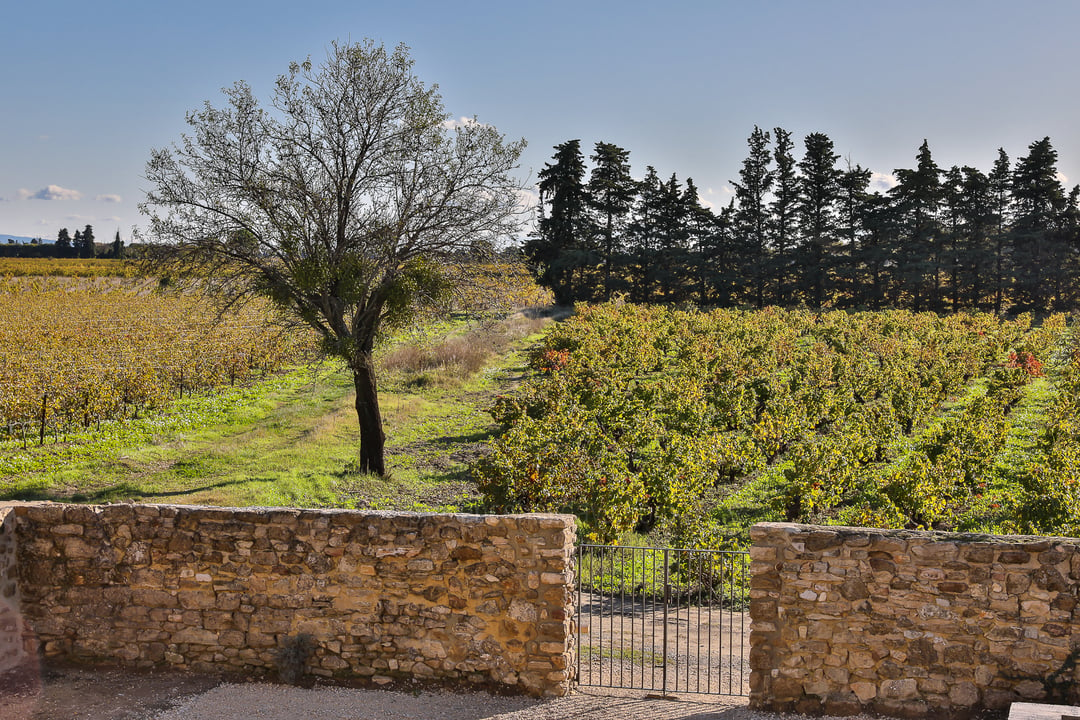 24 - Bastide Sainte-Cécile: Villa: Exterior