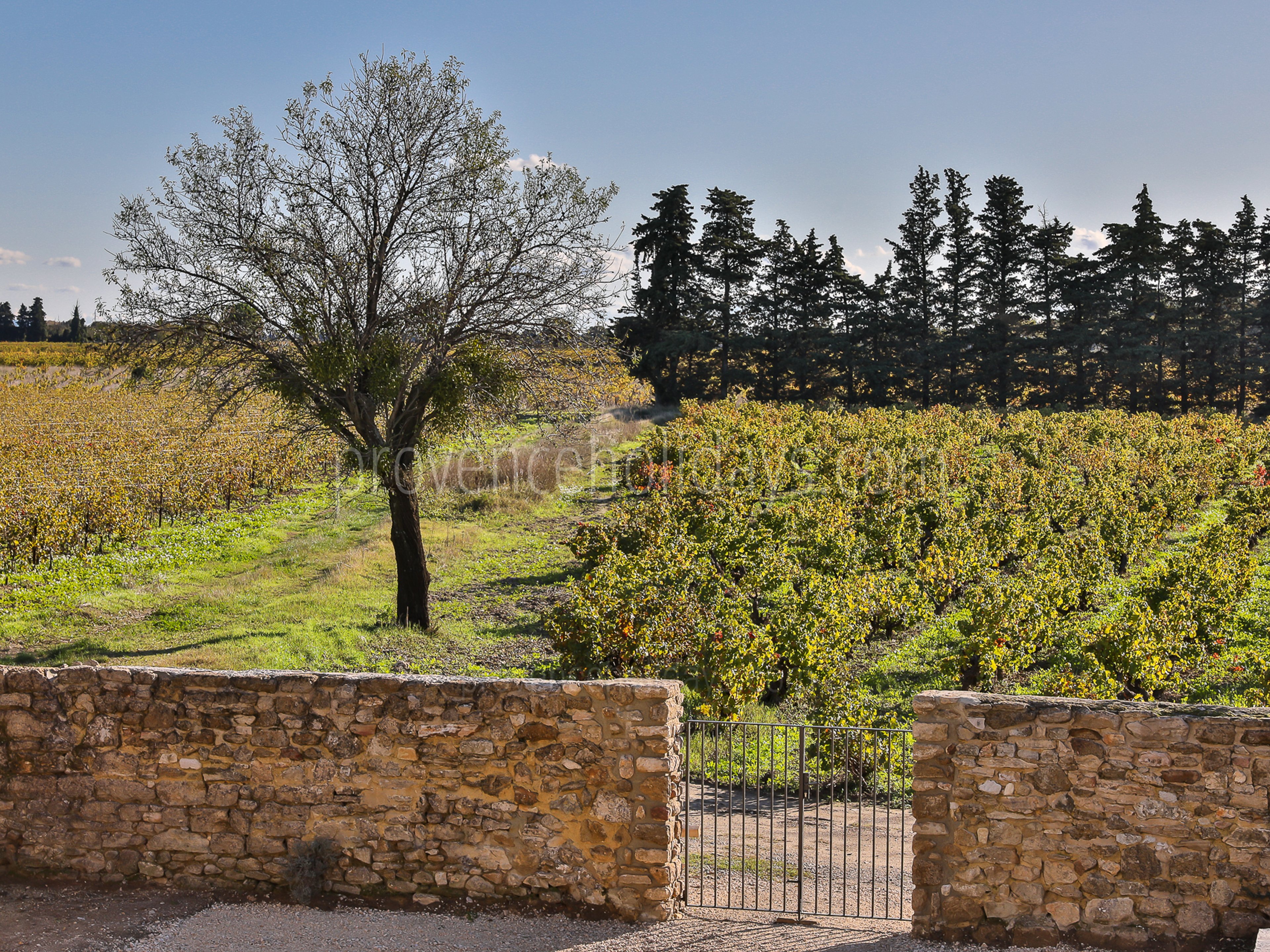 26 - Bastide Sainte-Cécile: Villa: Exterior