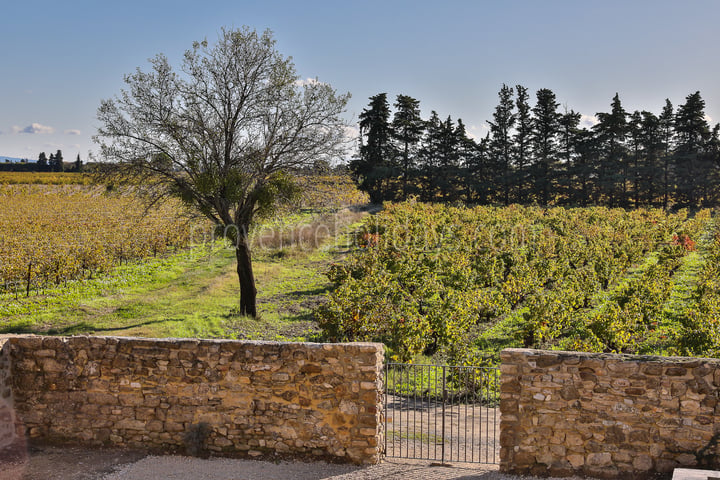 26 - Bastide Sainte-Cécile: Villa: Exterior