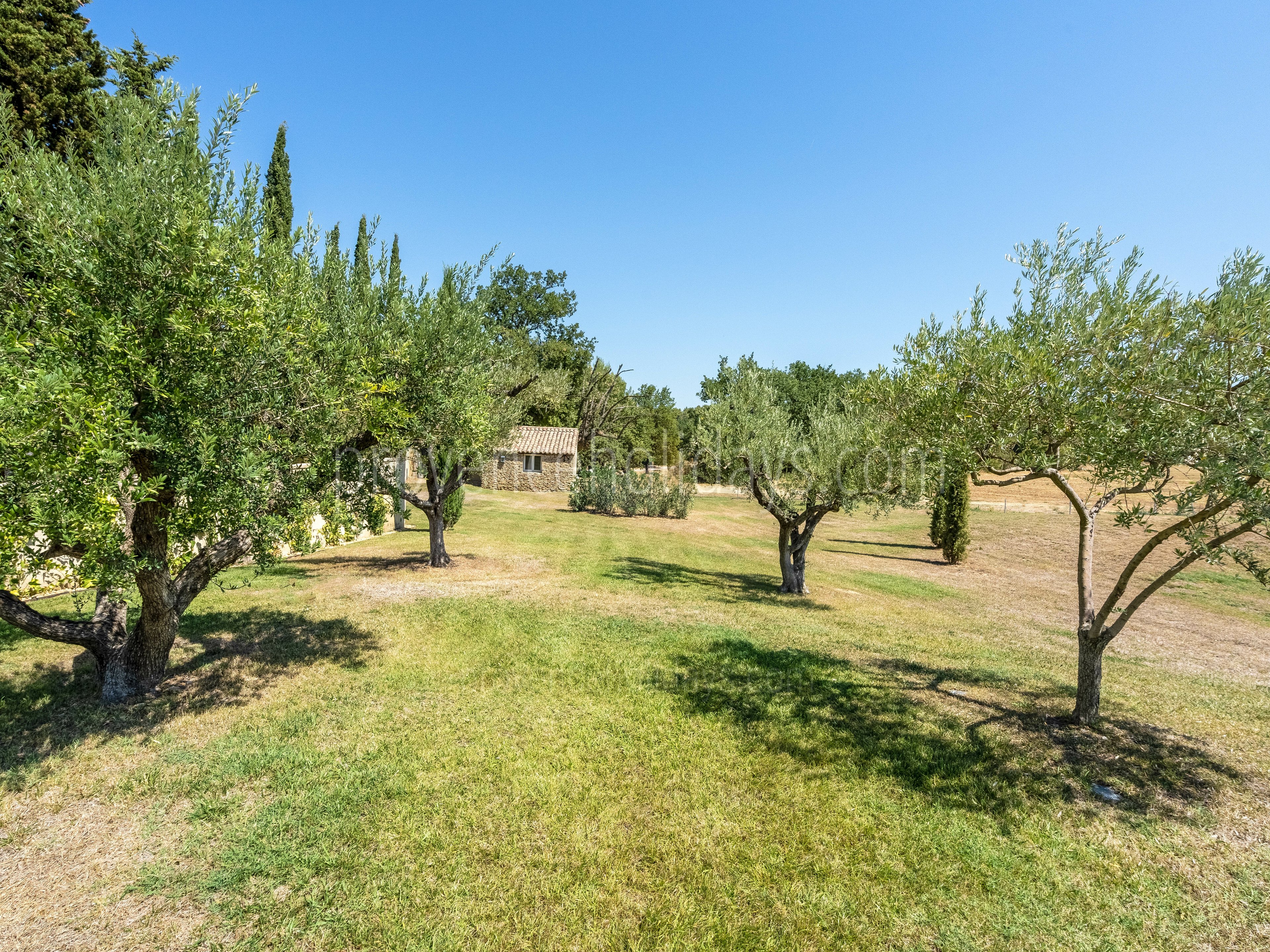 8 - Domaine des Vignobles: Villa: Exterior